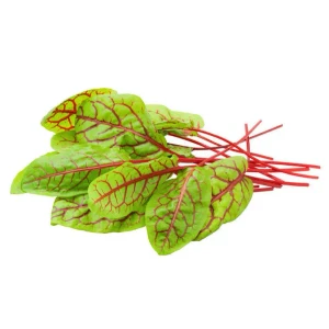 بذر سبزی سورل قرمز (Red Veined Sorrel) پاکت 2000 عددی
