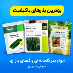 بذر کشاورزی و گلخانه ای