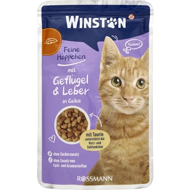 پوچ گربه بالغ وینستون با طعم گوشت طیور و جگر در ژله Winston Poultry & Liver In Jelly 