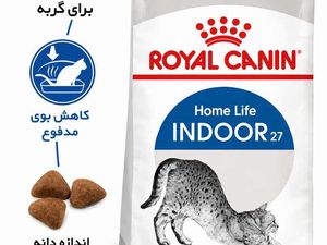غذای خشک گربه بالغ رویال کنین مدل Indoor 27 مخصوص گربه‌های خانگی