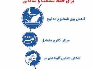 غذای خشک گربه بالغ رویال کنین مدل Indoor 27 مخصوص گربه‌های خانگی