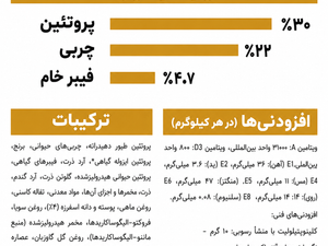 غذای خشک گربه پرشین بالغ رویال کنین مدل Persian Adult
