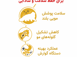 غذای خشک گربه پرشین بالغ رویال کنین مدل Persian Adult