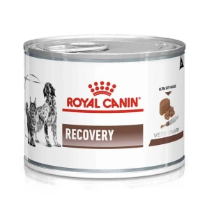 کنسرو ریکاوری سگ و گربه رویال کنین  Royal Canin Recovery Ultra Soft Mousse