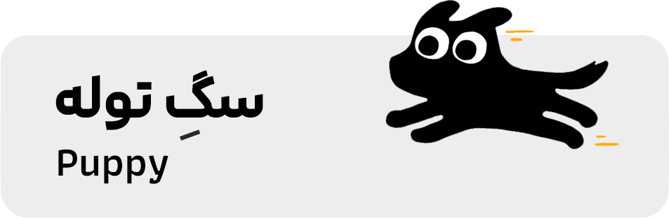 تست