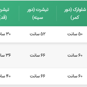 ست تیشرت وشلوارک دخترانه مدل گل آفتابگردان رنگبندی مطابق تصویر