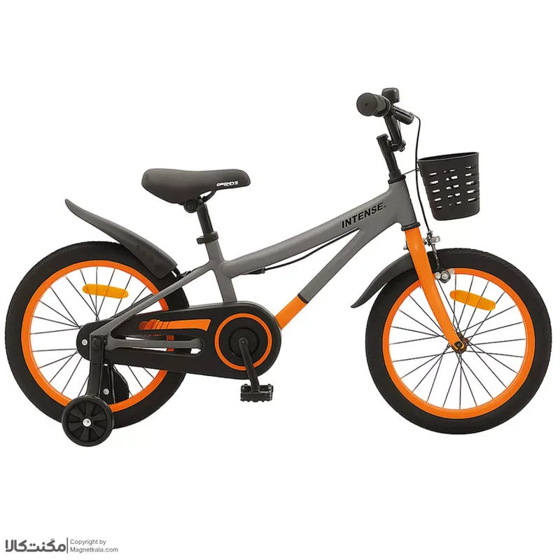 دوچرخه بچگانه اینتنس DART خاکستری سایز 20 کد 1865