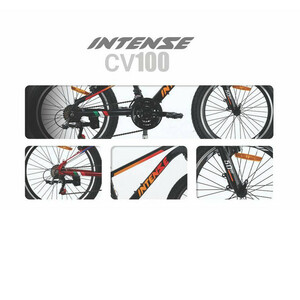 دوچرخه شهری اینتنس  مدل CV100 چمپیونز کد 1864 سایز طوقه 20 اینچ