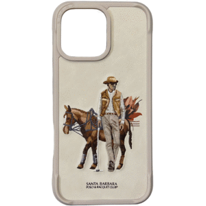 خرید گارد آیفون 16 پرو سانتا باربارا