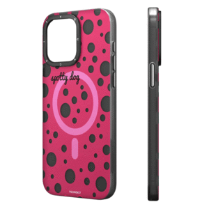 خرید قاب مگنتی آیفون 14