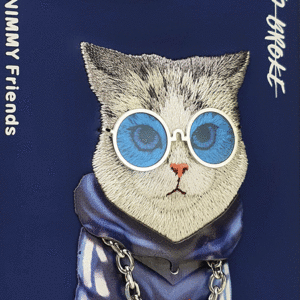 قیمت قاب فانتزی گوشی آیفون 13 نیمی