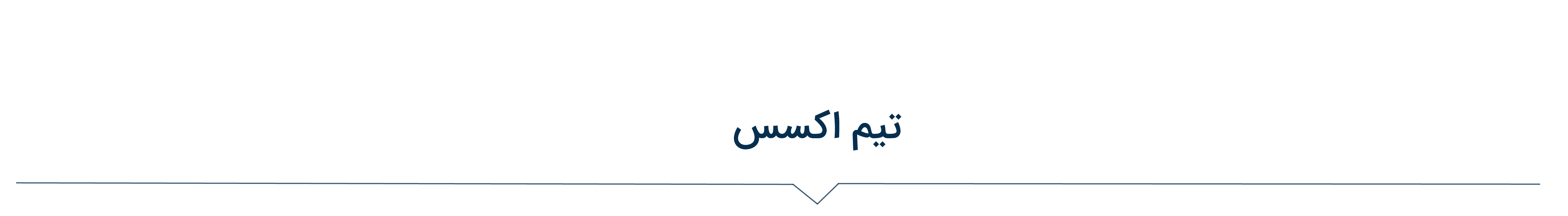 با تیم اکسس ماترکتینگ آشنا شوید