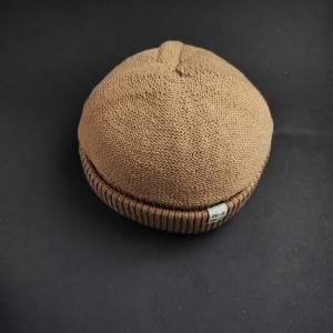 کلاه لئونی بافتنی ساده وارداتی.jpg