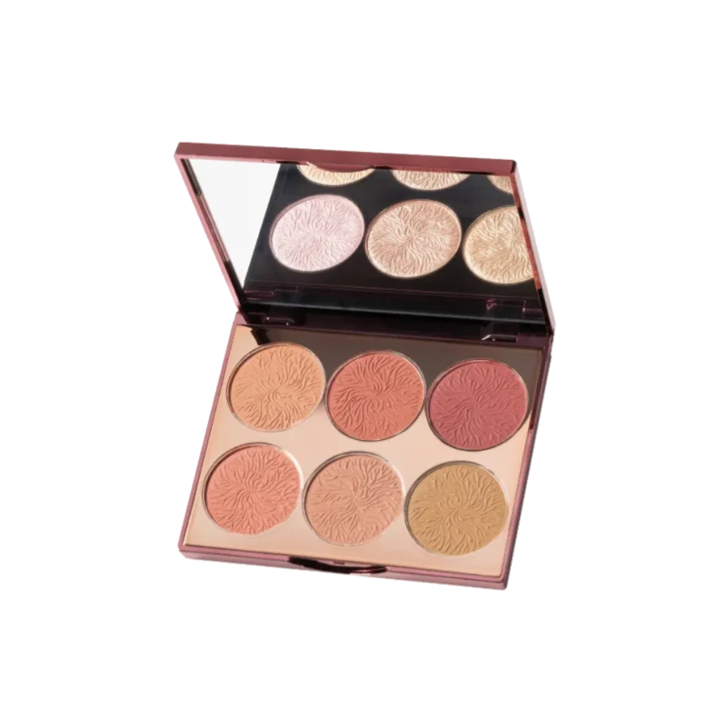 پالت رژگونه فیوچر میکاپ