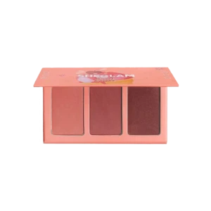 پالت سه‌تایی رژگونه گلبهی شیگلم