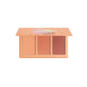 پالت سه‌تایی رژگونه نارنجی شیگلم