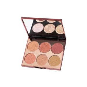 پالت رژگونه فیوچر میکاپ