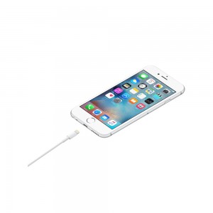کابل USB به لایتنینگ اپل مدل MD819 طول 2 متر