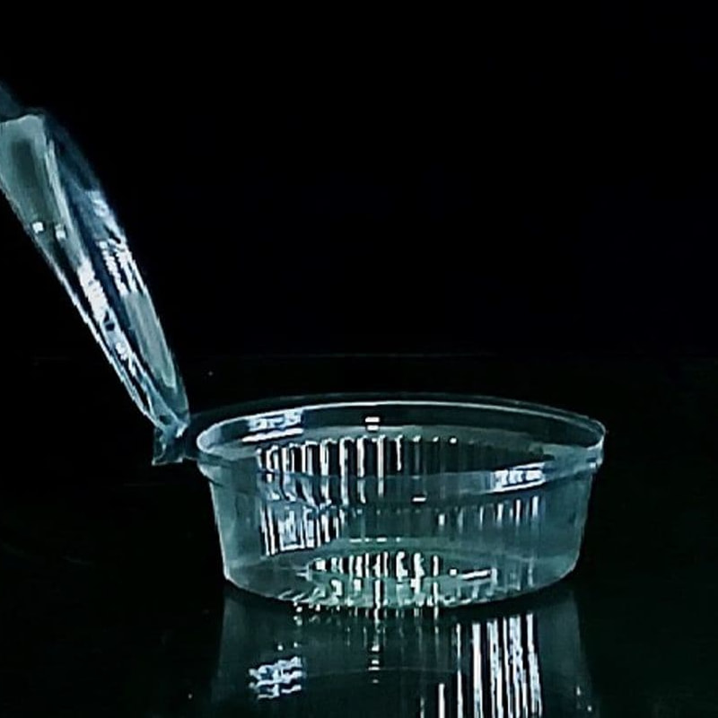 ظرف سس خوری بیضی بزرگ ( 800عددی) 