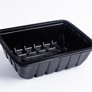 گوشتی یکبار مصرف 6 سانت۲۵گرمی(۲۰۰عددی) 