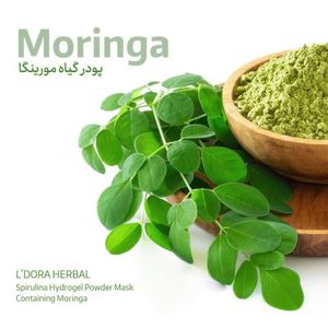 ماسک پودری اسپیرولینا هیدروژلی حاوی مورینگا لدورا کر 12 عددی