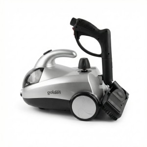 بخار شوی گلدن کیچن مدل Gk510