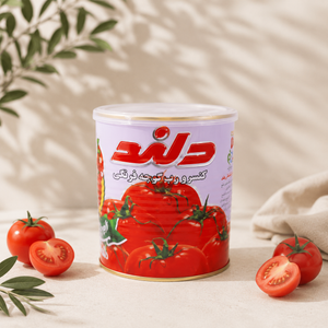 رب گوجه فرنگی دلند - 800 گرم