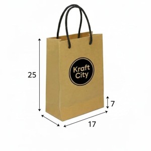 بگ دستی ابعاد 25*17*7