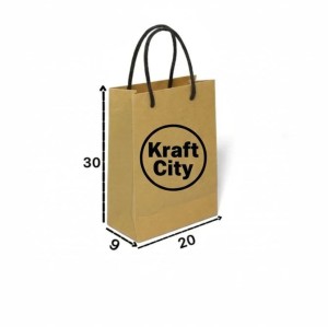 بگ دستی ابعاد 30*20*9