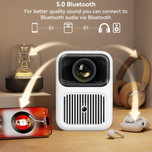Xiaomi Video Projector Dali 1