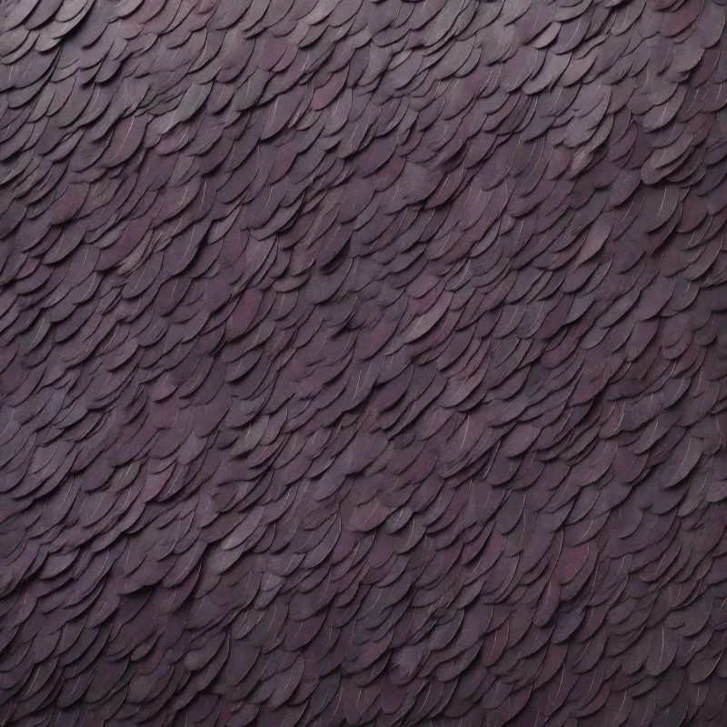 بال شب (Nightwing)