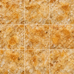 روز مَگما (Rose Magma)