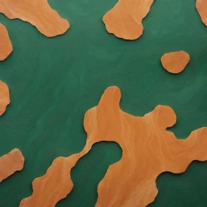 دِلتای مالاکیت (Malachite Delta)