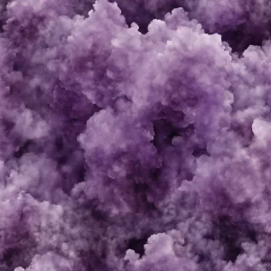 رؤیای بنفش (Violet Dream)