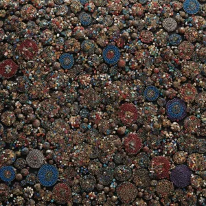 مرجان های تیله ای (Marble corals)