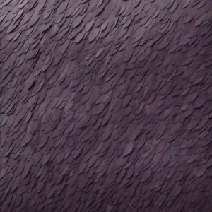 بال شب (Nightwing)