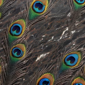 راز پر طاووس (Secret of the Peacock Feather)