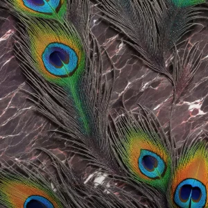 راز پر طاووس (Secret of the Peacock Feather)