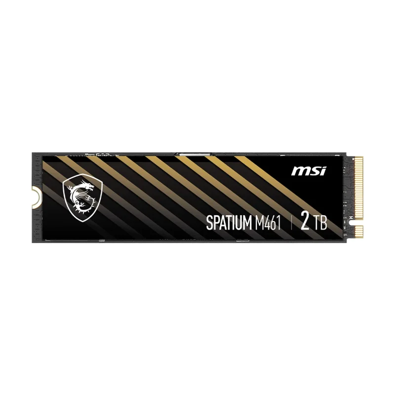 اس اس دی اینترنال PCIe Gen4 x4 ام اس آی مدل M461 ظرفیت 2 ترابایت