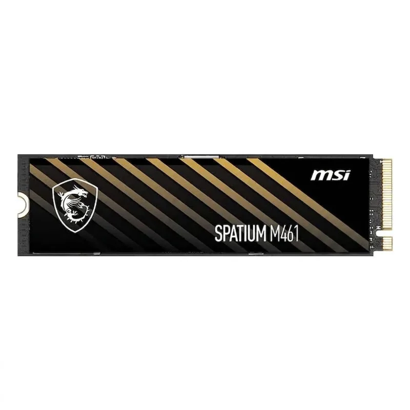 اس اس دی اینترنال M.2 PCIe Gen4 x4 NVMe ام اس آی مدل SPATIUM M461 ظرفیت 1 ترابایت