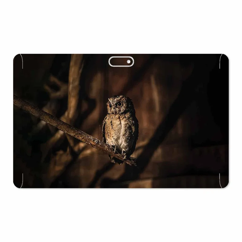 برچسب پوششی ماهوت مدل Owl مناسب برای تبلت جی ال ایکس W11 Plus