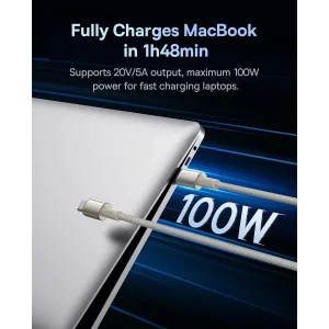 کابل تبدیل USB-C بیسوس مدل Tungsten Gold (100W) طول 2 متر