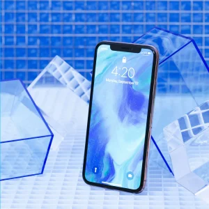 محافظ صفحه نمایش گرین مدل Steve Glass مناسب برای گوشی موبایل اپل iPhone Xs Max/11 Pro Max