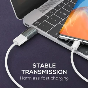 مبدل USB-C به USB الدینیو مدل FAST-LD