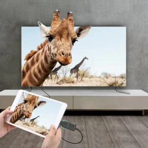 مبدل Mini HDMI به HDMI یوگرین مدل 20101