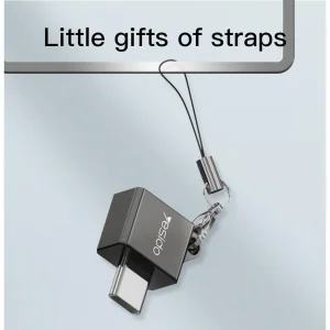 مبدل OTG USB-C به USB یسیدو مدل GS08