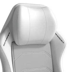 صندلی گیمینگ دی ایکس ریسر مدل Master 2025