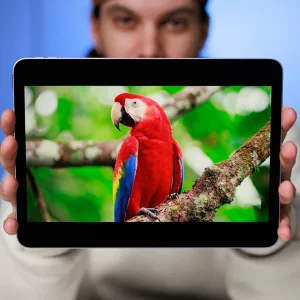 تبلت 11 اینچ اپل مدل iPad Air 11 2025 M3 Wi-Fi ظرفیت 128 گیگابایت و رم 8 گیگابایت