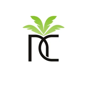 کیف حمل کنسول بازی پلی استیشن 5 اسلیم نخل مدل NKH-256