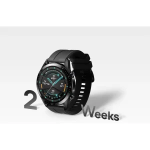 ساعت هوشمند هوآوی مدل WATCH GT 2 LTN-B19 46 mm بند لاستیکی
